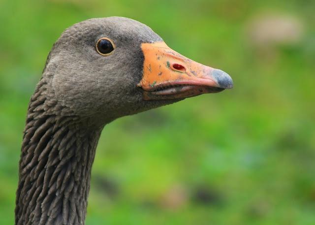 Sorpresas del fin de semana