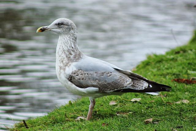 Sorpresas del fin de semana