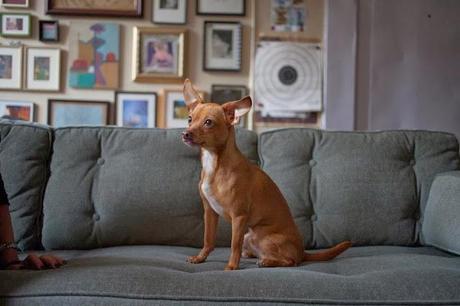 Apartamento en Nueva York