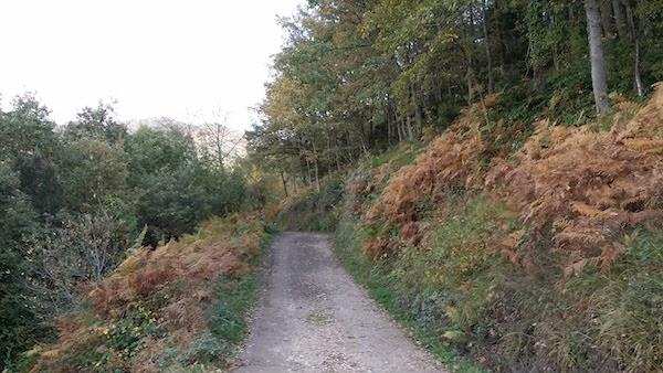 Paseando por los montes de Liébana