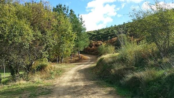 Paseando por los montes de Liébana