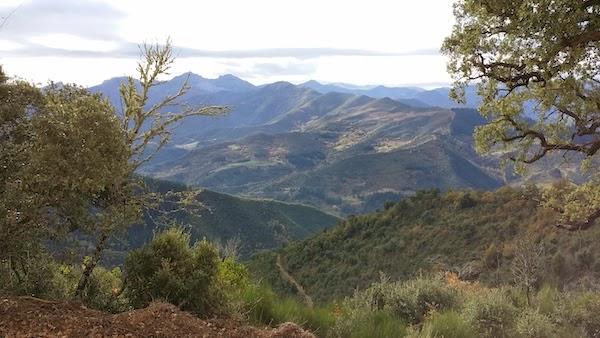 Paseando por los montes de Liébana