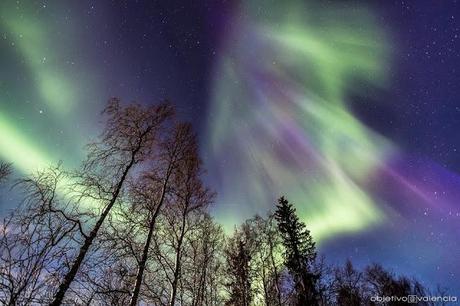 Diseños por el Mundo. Laponia.