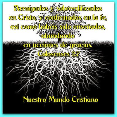 La gratitud rebosante