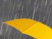 MALETA paraguas amarillo