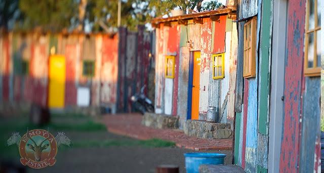 Shanty Town: el hotel de lujo inspirado en la pobreza