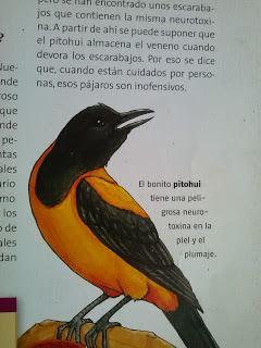 Premio a la libertad, alegría y la energía propias de un niño expresadas mediante el dibujo.