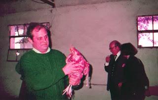 Gallinas en Seseña (y II)
