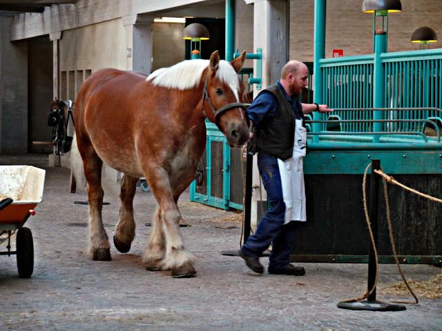 Carlsberg, algo más que una cerveza. Copenhague