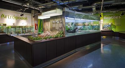 Vacaciones Explora 2013 (Medellín, Colombia)