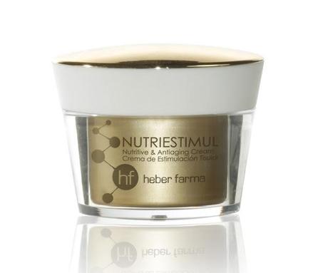 Ideas para Regalar en esta Navidad Ideas para Regalar en esta Navidad