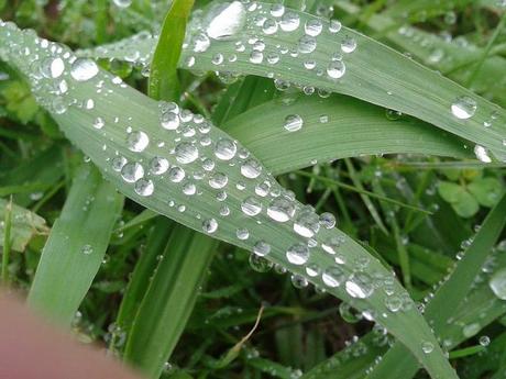 Androidografia Barakaldo 272