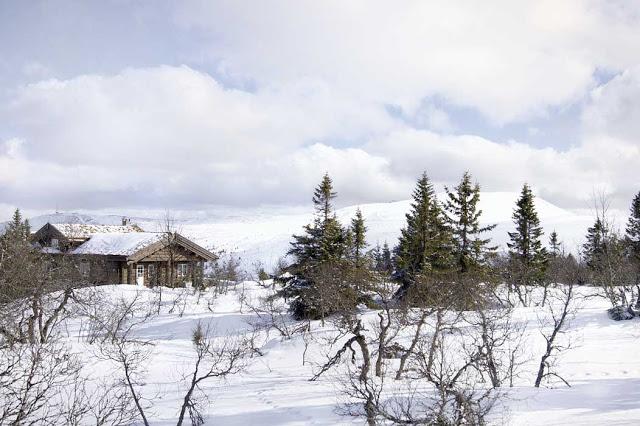UNA CABAÑA DE MADERA EN LA MONTAÑA