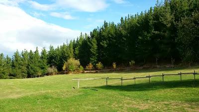 Resumen de la semana. Sem 48