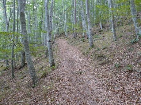 Escapada de la semana: Ezcaray