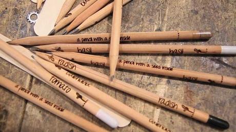 Sprout Pencil