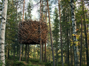 Arquitectura creativa Vivir nido entre árboles