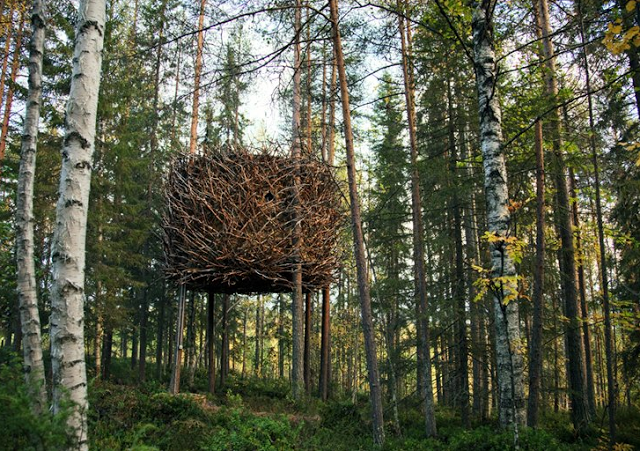 Arquitectura creativa - Vivir en un nido entre los árboles