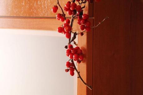 Bayas silvestres para decorar