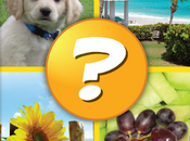 Fotos Palabra juego para android