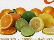Naranjas