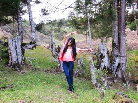 L O O K 1 1 9 L O O K 1 1 9