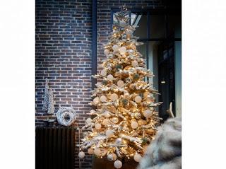 ÁRBOLES DE NAVIDAD.