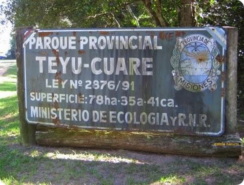 teyu-cuare