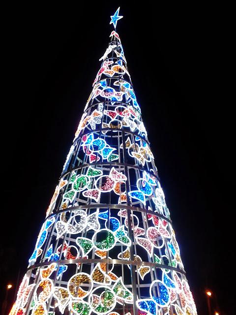 Christmas Comes! / ¡Llega la Navidad!