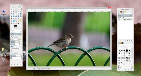 Hay más mundo, aparte de Adobe, para editar nuestras fotografías.