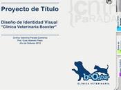 Clínica Veterinaria Booster Identidad Visual