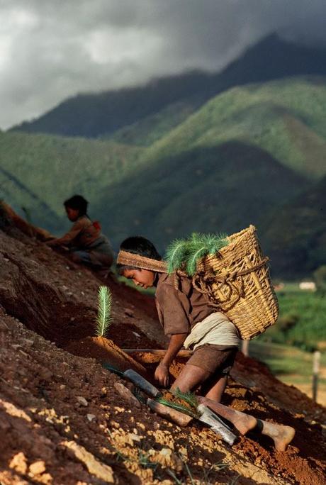 22 fotografías sobrecogedoras sobre el trabajo infantil en el mundo que todos deberíamos ver...!!!   1-12-2013...