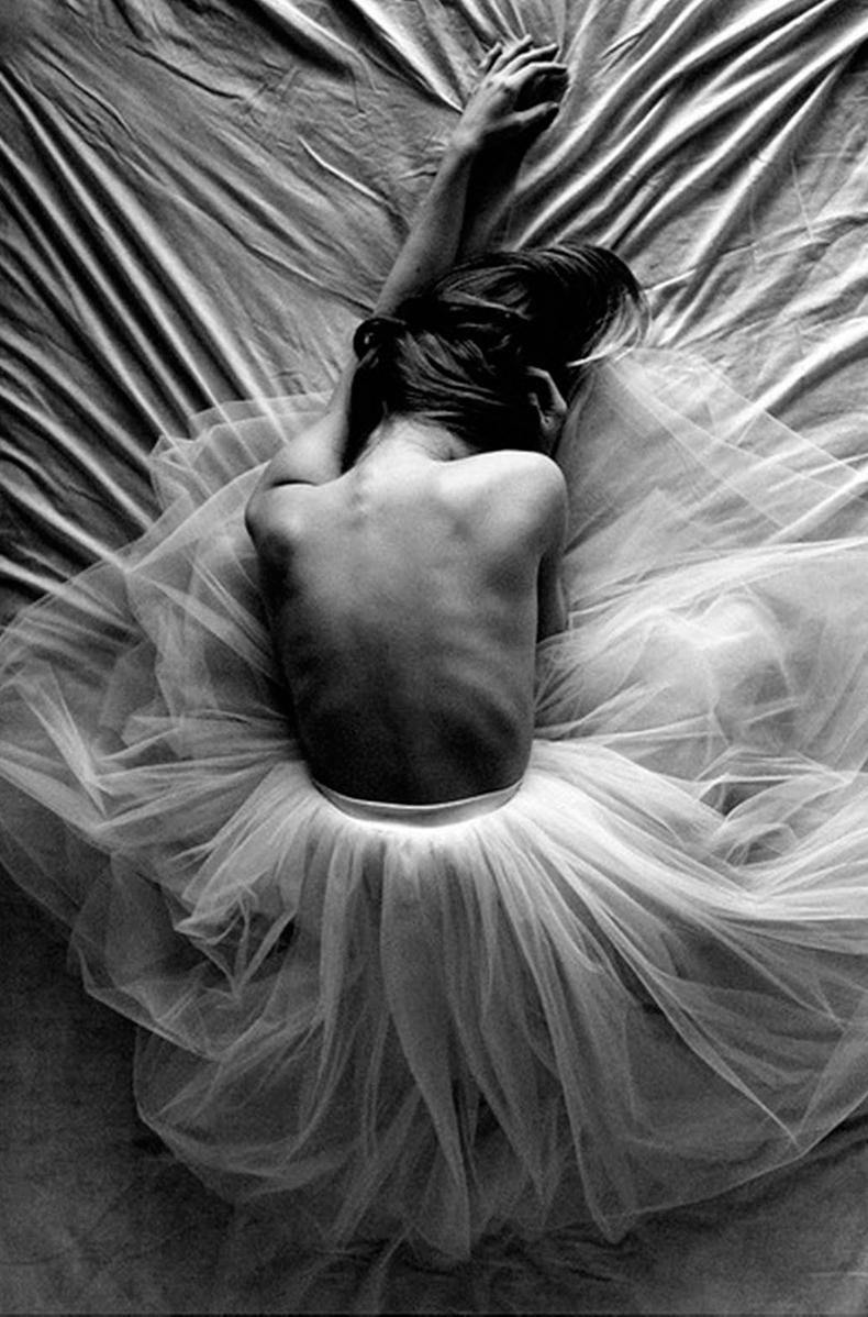 Image Hosted by ImageShack.us