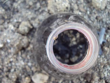 UN EXPERIMENTO EN EL HUERTO: TERCERA SEMANA UN EXPERIMENTO EN EL HUERTO: TERCERA SEMANA