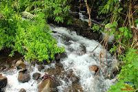 Laguna de Hule -Los Ángeles Sur, Río Cuarto de Grecia, Alajuela-