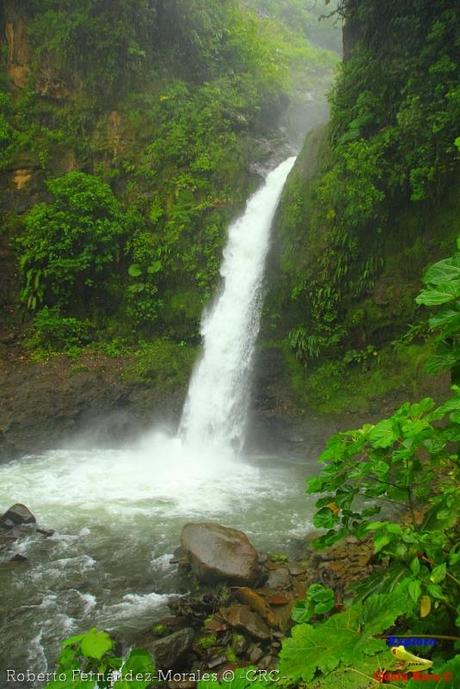 Laguna de Hule -Los Ángeles Sur, Río Cuarto de Grecia, Alajuela-