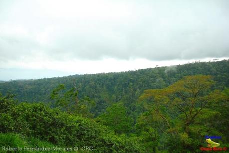 Laguna de Hule -Los Ángeles Sur, Río Cuarto de Grecia, Alajuela-