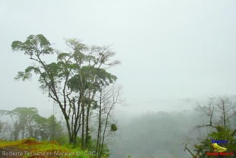 Laguna de Hule -Los Ángeles Sur, Río Cuarto de Grecia, Alajuela-