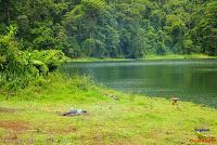 Laguna de Hule -Los Ángeles Sur, Río Cuarto de Grecia, Alajuela-