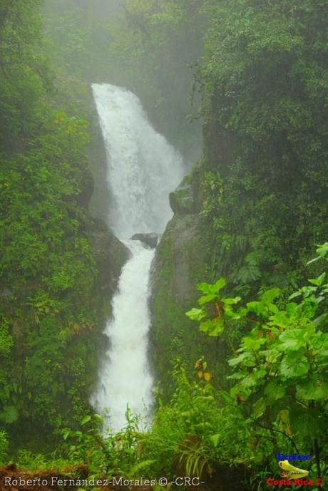 Laguna de Hule -Los Ángeles Sur, Río Cuarto de Grecia, Alajuela-