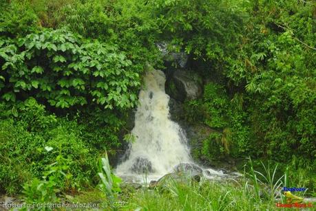 Laguna de Hule -Los Ángeles Sur, Río Cuarto de Grecia, Alajuela-