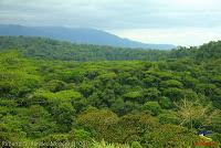 Laguna de Hule -Los Ángeles Sur, Río Cuarto de Grecia, Alajuela-