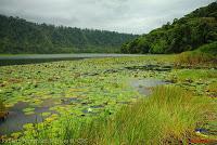 Laguna de Hule -Los Ángeles Sur, Río Cuarto de Grecia, Alajuela-