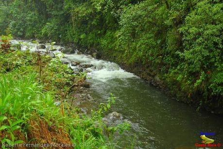 Laguna de Hule -Los Ángeles Sur, Río Cuarto de Grecia, Alajuela-