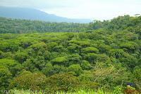 Laguna de Hule -Los Ángeles Sur, Río Cuarto de Grecia, Alajuela-