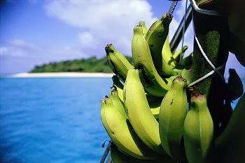 Plátanos verdes sin grasa: ideal para estar saludable