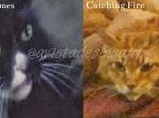 ➽CURIOSIDADES (Buttercup)