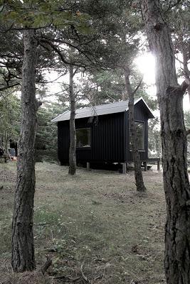 Casa Minima de Madera