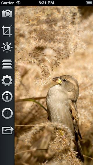 Capítulo 6: Editando nuestras fotos - Parte 2 Capítulo 6: Editando nuestras fotos - Parte 2