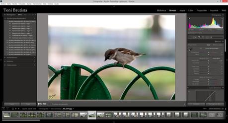 Capítulo 6 - Editando nuestras fotos - Parte 4